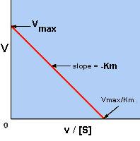 The slope of the line is equal to -KM and the x-intercept is Vmax An advantage of an Eadie-Hofstee plot over a Lineweaver Burk