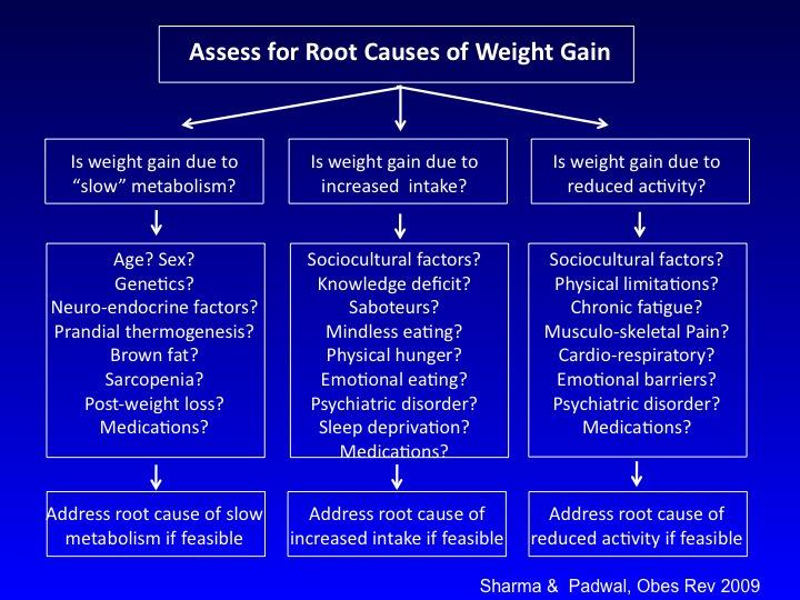 The Who (Causes) of Obesity; Root Cause Analysis The What; The complications of obesity Concepts of direct etiologic Complications vs Consequences, Comorbidities and Associations The