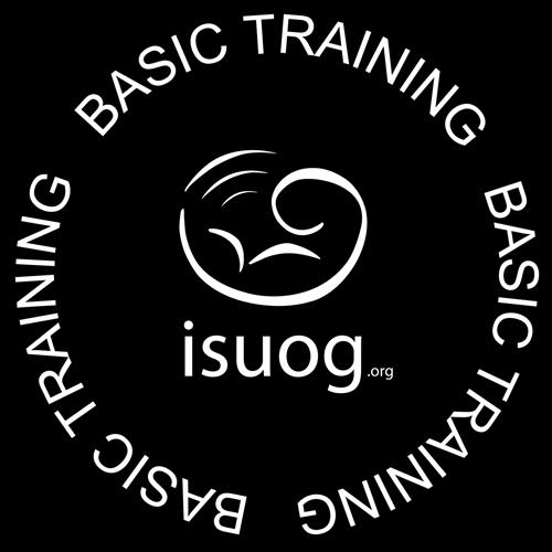 ISUOG Basic Training Typical Ultrasound