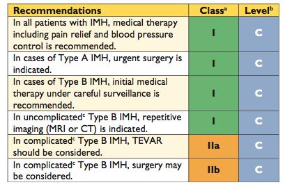 Indications for Repair Type A Persistent/Recurrent pain despite