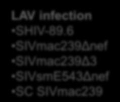 14PCD 21PCD LAV infection SHIV-89.6 SIVmac239Δnef SIVmac239Δ3 SIVsmE543Δnef SC SIVmac239 Monkey ID SIVmac239 I.