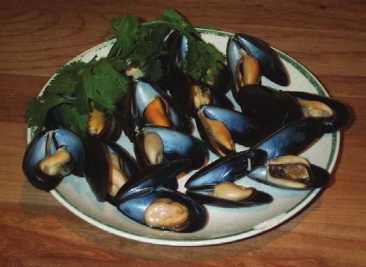 Amnestic Shellfish Poisoning Discovered in 1987 Epidemic of human illness traced to consumption of mussels