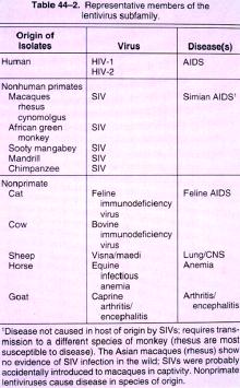 1 of 7 I. Viral Origin. A. Retrovirus - animal lentiviruses. HIV - BASIC PROPERTIES 1.