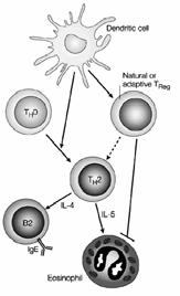 The Role of Regulatory T-cells in Modifying T H 2 Immunity Immunotherapy of Atopic Diseases: a Role for Tregs?