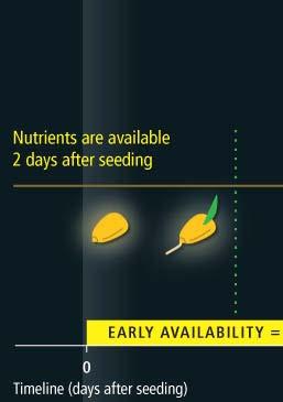 Patented, seedapplied fertilizer Zinc, Manganese, Iron Safely delivers essential