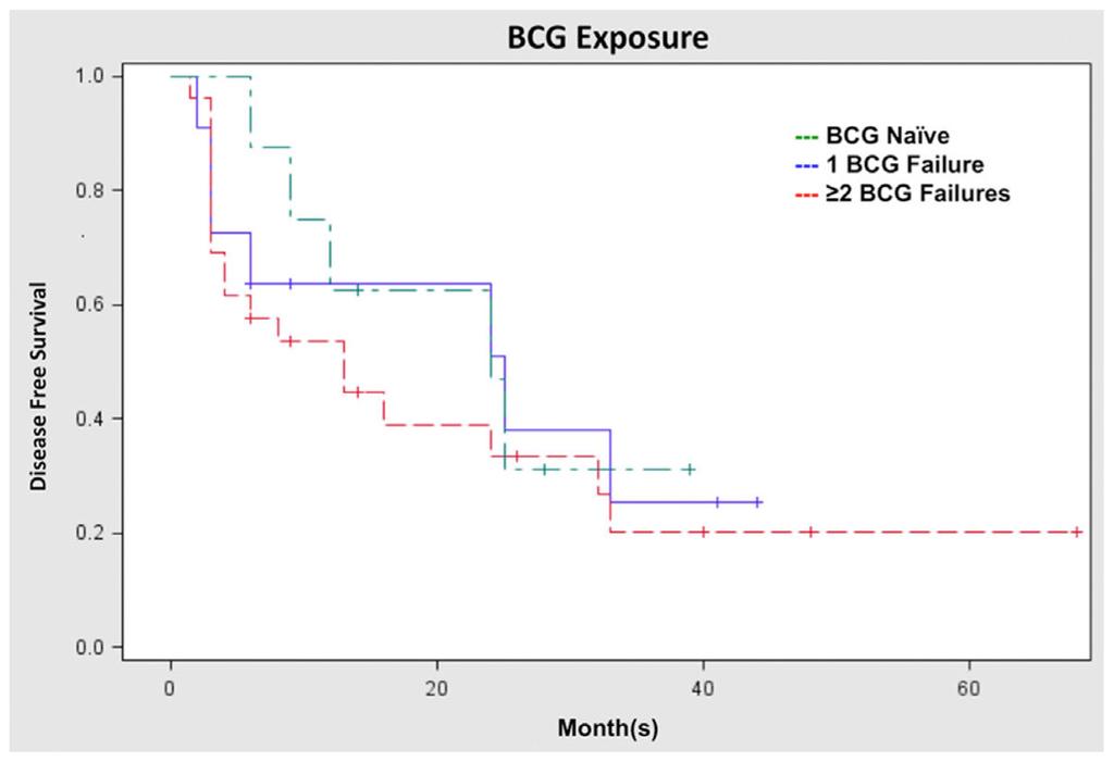 Lightfoot et al. Page 10 Fig. 3. Recurrence-free survival based on prior BCG treatments. RFS based on prior BCG exposure. BCG naive 80% CR, 50% 1-RFS, and 44% 2-RFS.