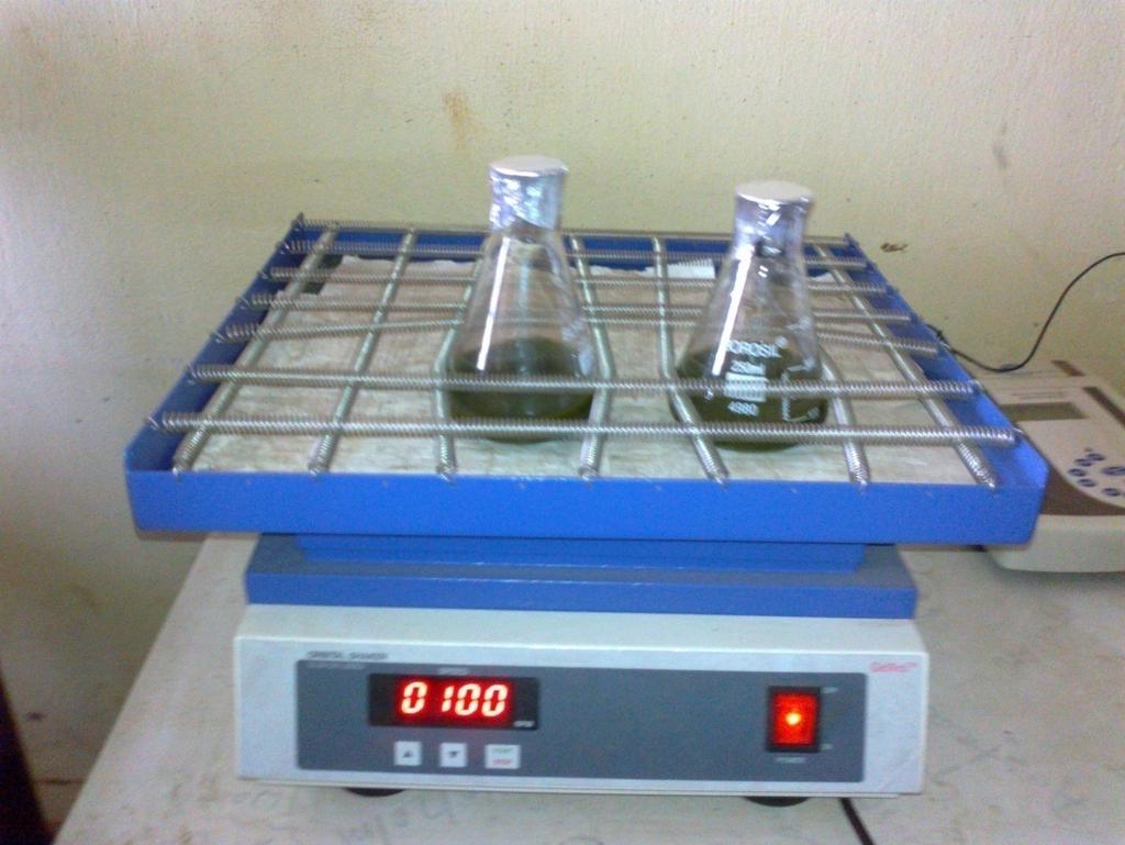 A Study on Antimicrobial Efficiency of Mangrove Leaf Extract on Cotton Fabric 57 for 48hrs in 100rpm speed.