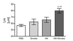 Figure 7: Effect of HA, cigarette smoke or the combined treatment on distance between alveolar walls in mouse lungs. Mice received 50 µl PBS or 0.