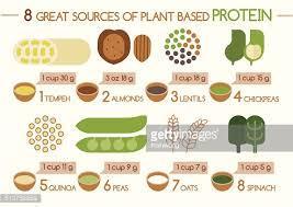 What Foods Contain Protein?