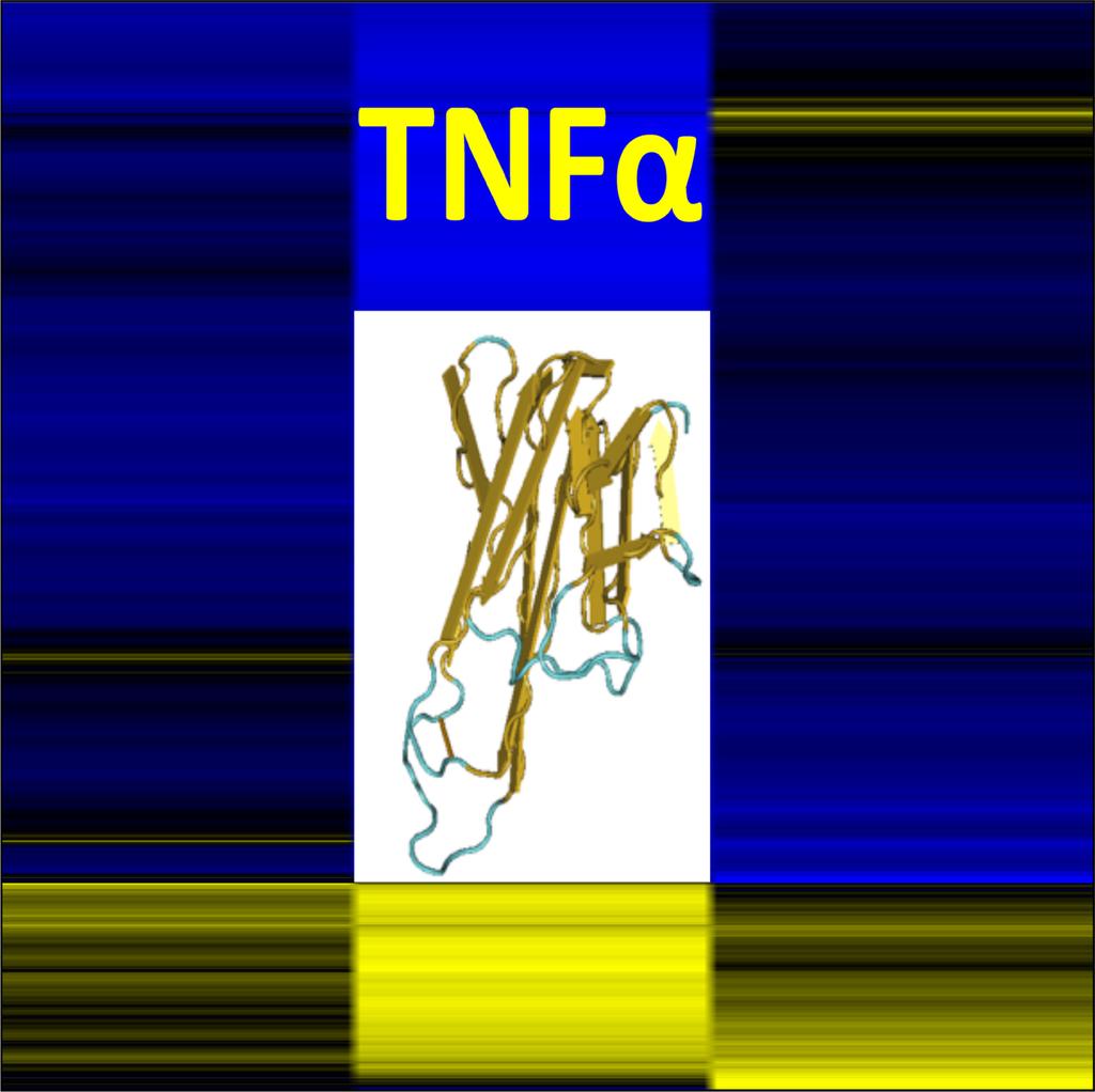 Dynamic reorganization of the AC1 cardiomyocyte transcriptome in response to TNFα