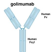 PART II: SCIENTIFIC INFORMATION PHARMACEUTICAL INFORMATION Drug Substance Proper name: Chemical name: golimumab Not applicable. Golimumab is not a chemical.