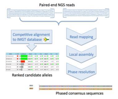 MIA FORA NGS Software Accurate phase defined unambiguous HLA genotypes Three complementary algorithms: 1)