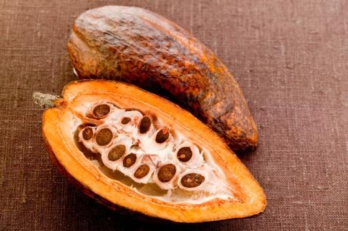 The mycotoxin issue in cocoa After freshly harvested pods are opened, beans undergo natural fermentation Toxigenic fungi may contaminate beans mainly during fermentation, but also during