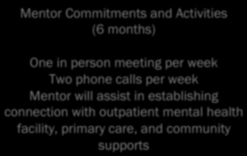 coordinator Mentor Commitments and Activities (6