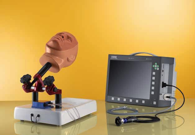 Endonasal Training Model Head model for practicing transnasal approaches to the pituitary gland Special Features: Exact reproduction of the anatomy (particularly the nasal