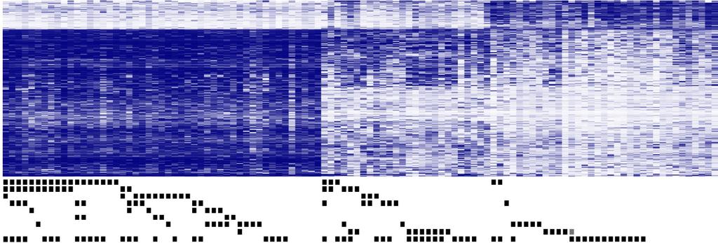 The distribution of genetic aberrations within CLL methylation clusters: LP-CLL IP-CLL HP-CLL 100 TP53 17p 11q SF3B1 NOTCH1 BRAF 12 MYD88 13q NOTCH1* BRAF* del 11q* del 17p* TP53* LP-CLL methylation
