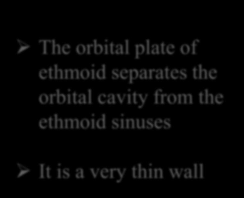 The orbital plate of ethmoid separates the orbital cavity from the