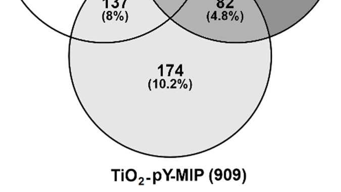 001), and (52±3 vs. 39±1%, P<0.001), whilst the RF bars of TiO 2 -py-mip and TiO 2 were not considered statistically different (37±2 vs. 39±1%, P>0.05). Level of Phosphorylation and Peptides Length.