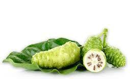 NONI RAS BENEFITS OF NONI Prevents Cancer Cures Gout Reduces Muscle Spasm Protects Heart Health Relives Fatigue Protects Liver Anti- Psychotic Qualities Relives