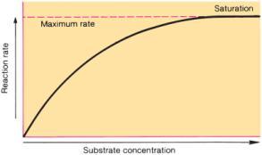 Effect of Substrate Concentration Rate of product formation increases as substrate concentration increases Until reaction rate reaches a plateau Where enzyme is said to be saturated 4-16 Enzymatic
