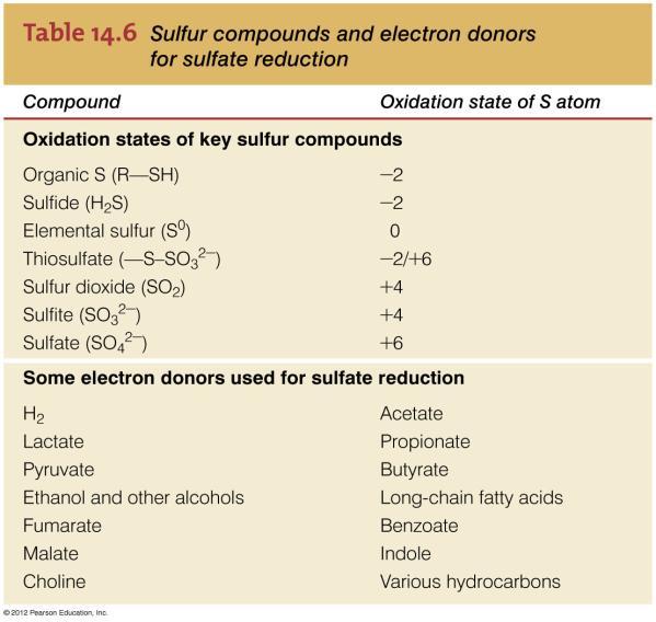14.8 Sulfate and Sulfur Reduction Inorganic sulfur compounds can be used as electron acceptors in anaerobic respiration Reduction of