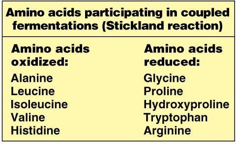 3 Clostridial and Propionic Acid Fermentations Some Clostridium species ferment