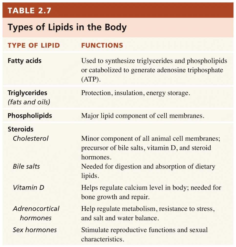 Lipid Metabolism Cholesterol comes from some foods (eggs, dairy, organ meats), but most is synthesized by hepatocytes.