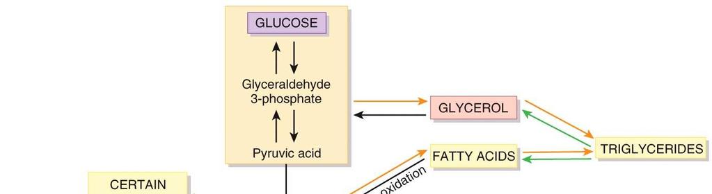 Lipid Metabolism Adipose tissue is used to remove triglycerides from chylomicrons and VLDLs.