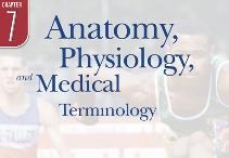 Chapter 7 Anatomy, Physiology, and Medical Terminology Prehospital Emergency Care, Ninth Edition Joseph J. Mistovich Keith J. Karren Copyright 2010 by Pearson Education, Inc. All rights reserved.
