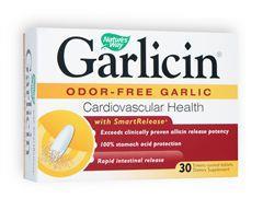 Herbs in foods + supplements Garlic (Allium sativum) essential food