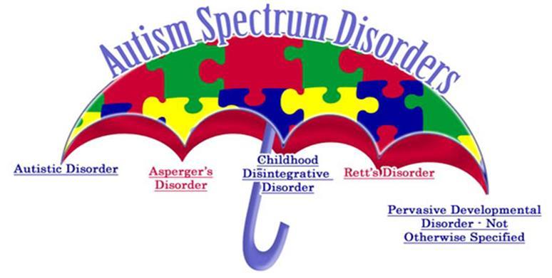 Characteristics of Autism Prior to 2013 Autism spectrum disorders were a collection of five