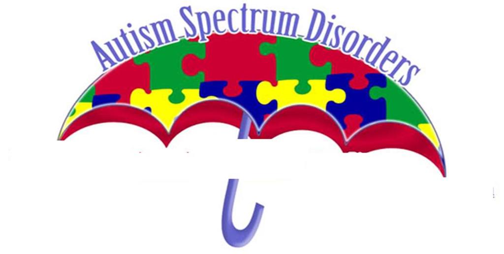 Characteristics of Autism Under the DSM-5, the five subtypes of