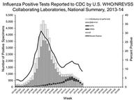 3% specimens positive for influenza Positives: 87% A viruses, 13% B viruses Subtyped A viruses: 90% ph1n1, 10%