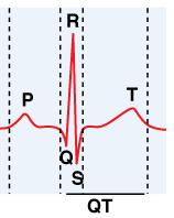 Cardiac Conduction What an ECG tells you about