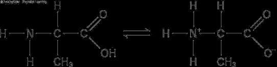 Ionized amino acid Figure 5.