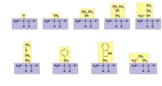charged) Acidic (negatively charged) Aspartic acid Glutamic acid (Asp or D) (Glu or E) Lysine (Lys or K) Arginine (Arg or R) Histidine (His or H) Figure 5.