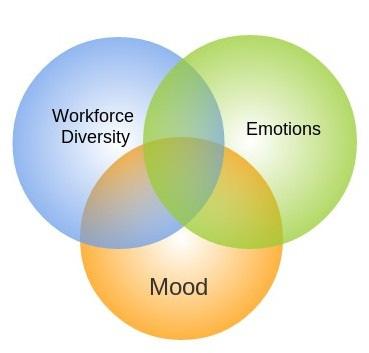 VI. BRANCHES OF EMOTIONAL INTELLIGENCE Perceiving Emotions: The first step in dealing with emotions in an organization is to perceive the emotion correctly.