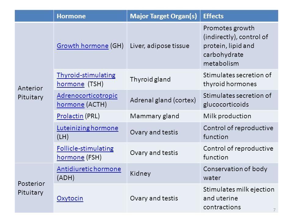Major Glands of The Endocrine System Hypothalamus a) Location: area of brain, near the front b) Special feature: links the endocrine system to the nervous system.