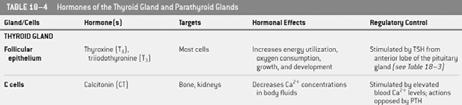 Ca 2+ Parathyroid tissue subsequent level of