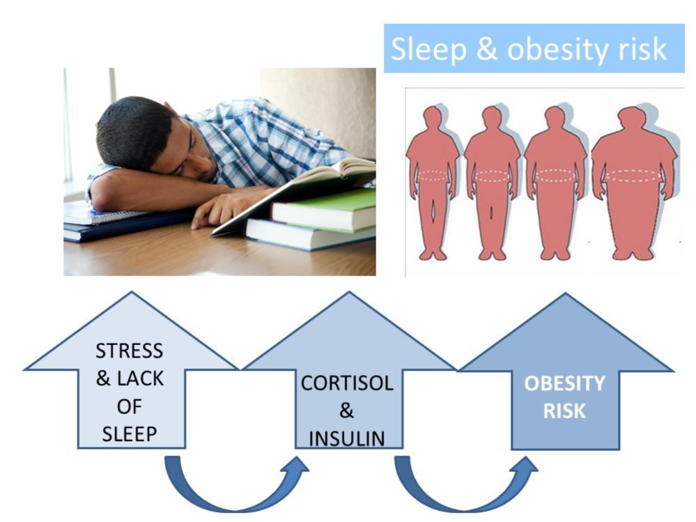 On a similar note, studies have shown that insufficient sleep can be linked to obesity and that is for children as well as