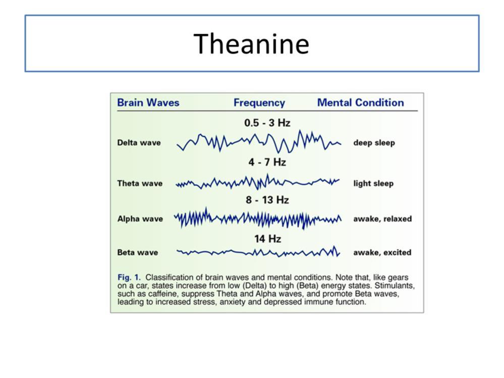 Theanine -A slightly different approach?
