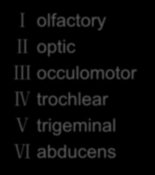 Cranial nerves Ⅰ olfactory Ⅱ optic Ⅲ