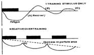 Models of Training Models of Training Single Factor Model of Training (Super Compensation) Single Factor Model of Training (Super Compensation) Positive overtraining: for eliciting gains in