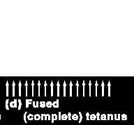 Types of Graded Responses Unfused (incomplete) tetanus Some