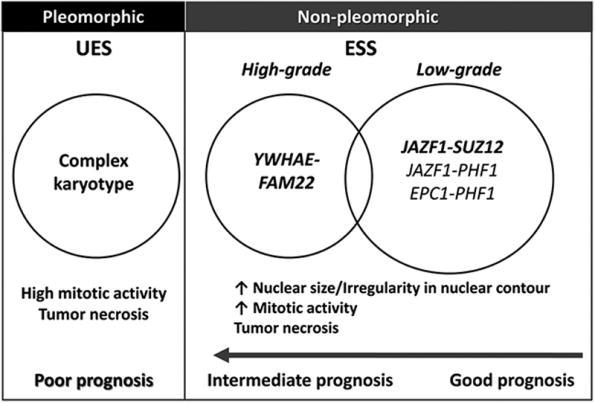 The Clinicopathologic Features of YWHAE FAM22 Endometrial Stromal Sarcomas: A Histologically Highgrade and Clinically Aggressive Tumor.