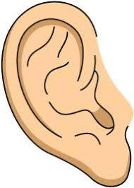 Hearing Ranges We now know that sounds come in different frequencies or pitches. Humans can hear a wide range of frequencies ranging from a deep 20 Hz to the sky high 20,000 Hz or 20 khz!