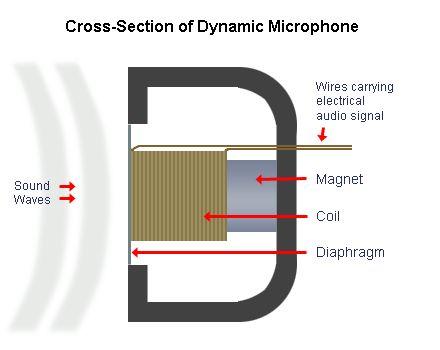 Loudspeakers and microphones Microphones have a thin skin like material called the diaphragm. When sound waves hit this diaphragm it starts to vibrate.