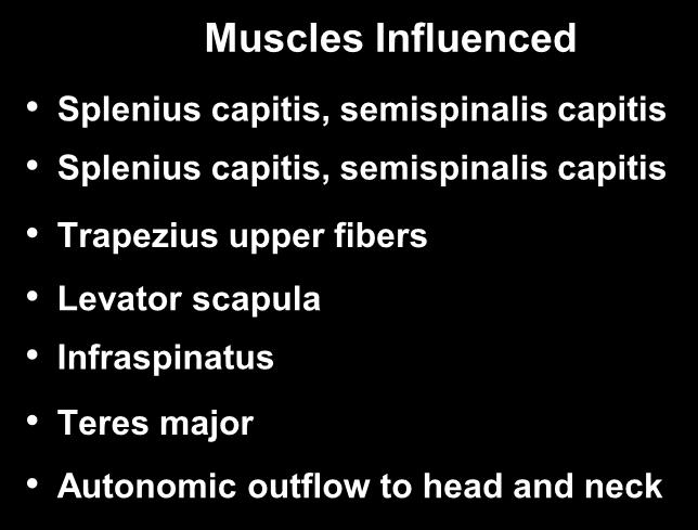 Acupoints- Muscle Relationships Local Points BL-10 GB-20 GB-21 SI-14 SI-11 SI-9 GV-14 Muscles Influenced Splenius capitis, semispinalis