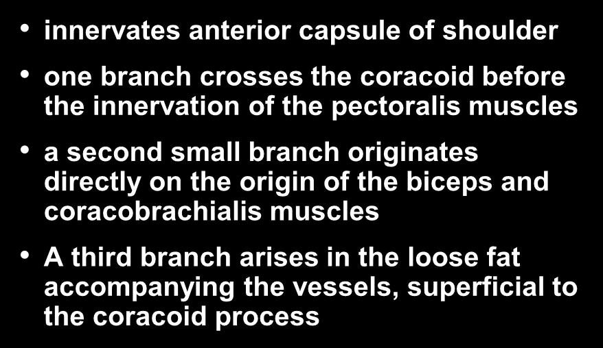 Lateral Pectoral Nerve innervates anterior capsule of shoulder one branch crosses the coracoid before the innervation of the pectoralis muscles a second small branch
