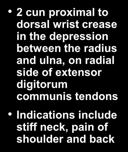 Triple Energizer- 5 2 cun proximal to dorsal wrist